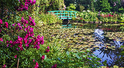 Another View of the Bridge
